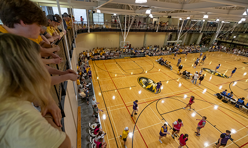 Spectators watching game